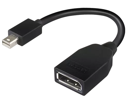 Lenovo Mini DisplayPort - DisplayPortアダプター