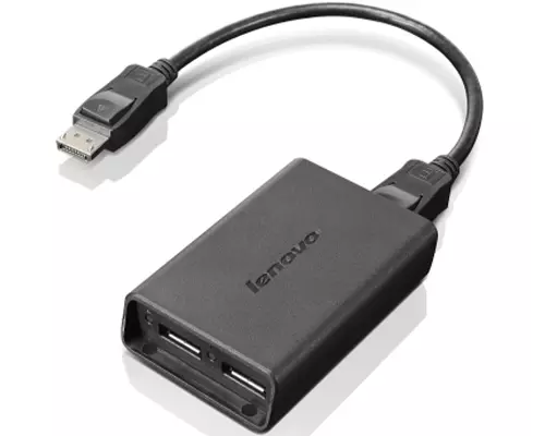 Lenovo DisplayPort - Dual DisplayPort ケーブル