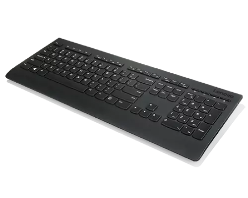 Lenovo プロフェッショナル ワイヤレス キーボード&マウス - 英語
